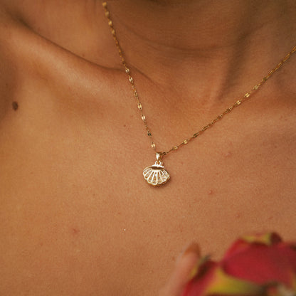 Waikiki Conchiglia Collana (Set)