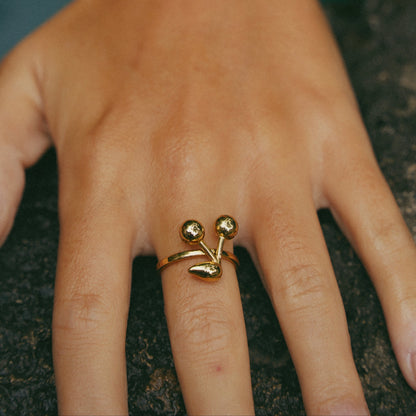 Anello Rue
